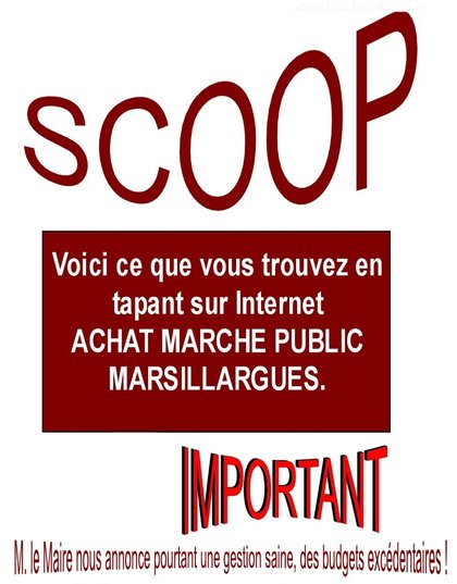 Scoop, ce que vous trouvez en cherchant sur internet Achat Marche Public Marsillargues